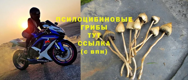 ALPHA-PVP Бородино