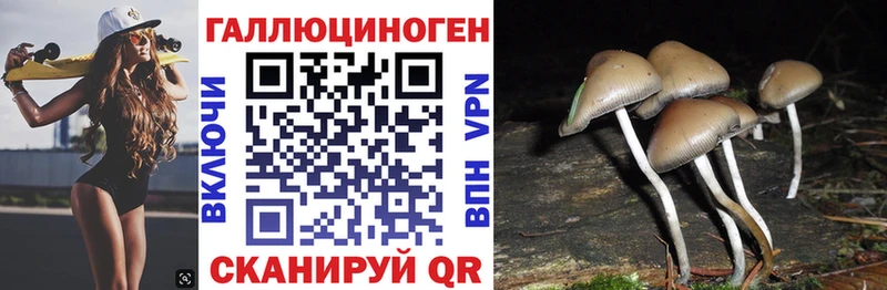 Галлюциногенные грибы GOLDEN TEACHER  магазин продажи наркотиков  Волжский 